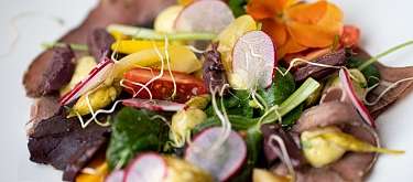 Kalbskopf-Carpaccio mit Wildkräuter, Limettenvinaigrette und Brunnenkresse-Mayonnaise Kalbskopf-Carpaccio mit Wildkräuter, Limettenvinaigrette und Brunnenkresse-Mayonnaise